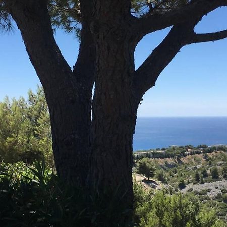 Magnifique Studio Cassis Exterior photo